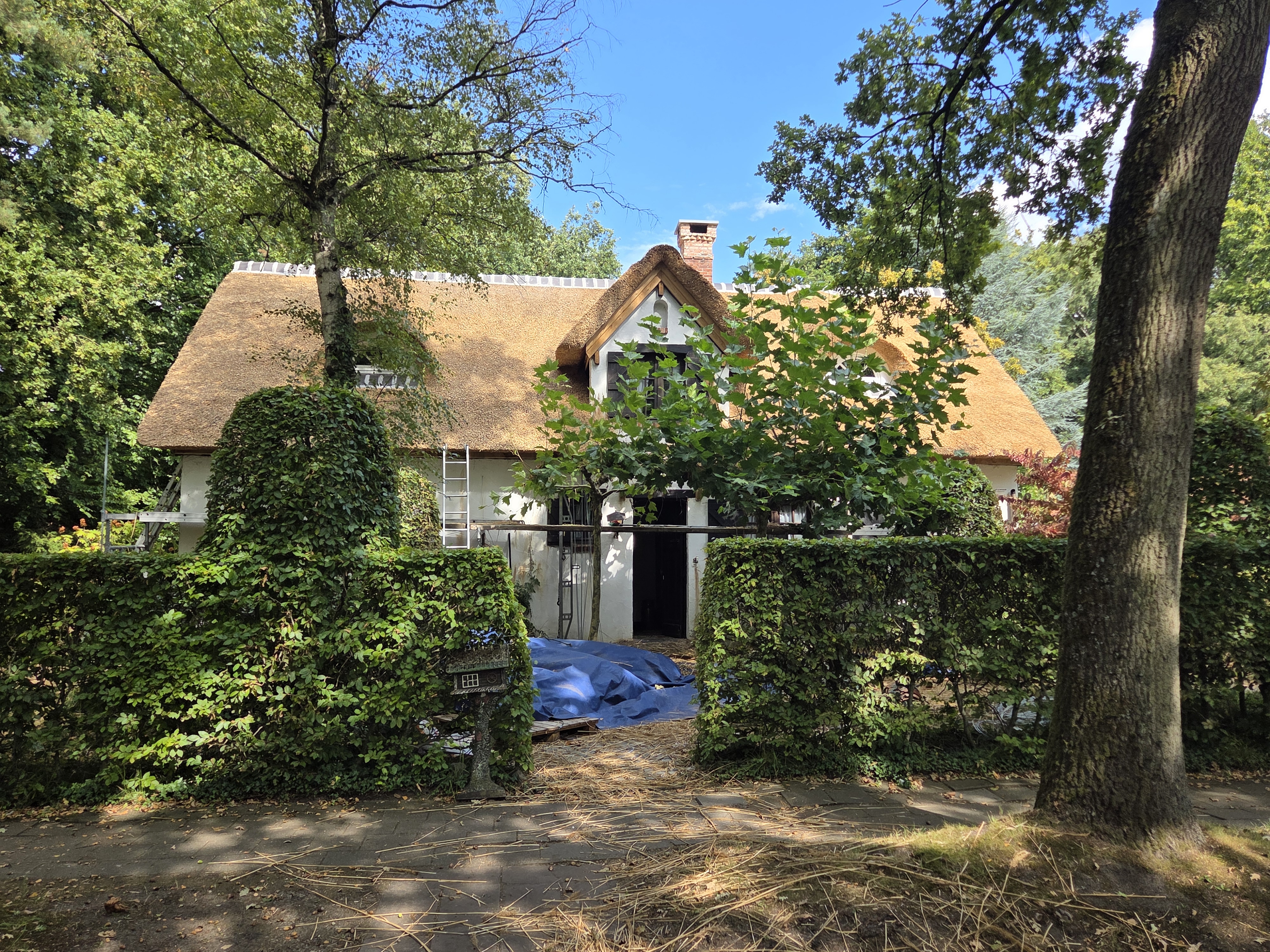 Ons Vakmanschap in Beeld: Een Rondleiding Door Onze Mooiste Rietdakprojecten